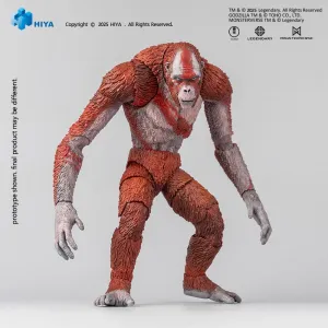 PVC Collectible Mythical Beast Godzilla x Kong The New Empire Exquisite Basic Action Figur Skar King 15 cm