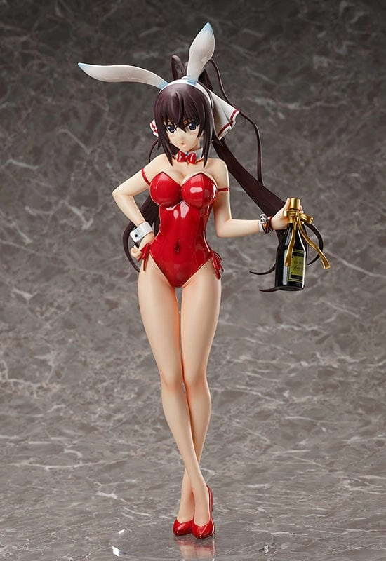 Cartoonish Design Gift Bundle 1/4th Houki Shinonono Bare Leg Bunny Ver