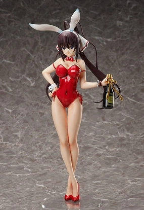 Cartoonish Design Gift Bundle 1/4th Houki Shinonono Bare Leg Bunny Ver