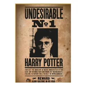 Travel Souvenir Harry Potter Pussel Wanted No1 Harry Potter (50 bitar)