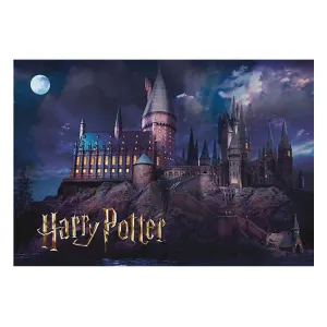 Harry Potter Puzzle Hogwarts (50 bitar) Character Decor Art Collection