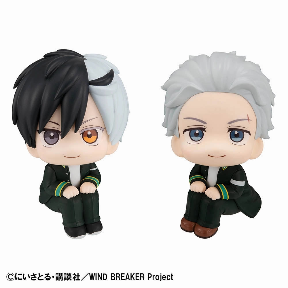 LOOK UP SERIES WIND BREAKER Haruka Sakura & Hajime Umemiya set??with gift: Cushion?? Fall Decor