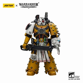 Dance Choreography Warhammer 40,000: Imperial Fists Action Figur Legion Apothecary 12 cm