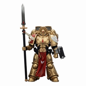 Warhammer 40,000: Combat Patrol Blood Angels Action Figur Sanguinary Guard 2 med Angelus Boltgun och Encarmine Spear 20 cm Report Writing